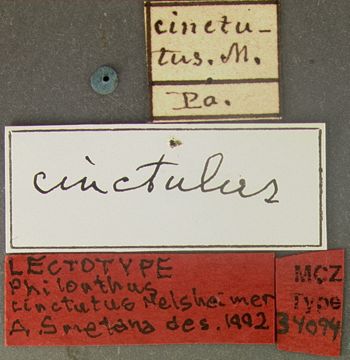 Media type: image; Entomology 34094   Aspect: labels
